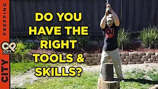How to harvest and process firewood
