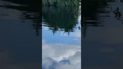 Trying to fish in a FLOODED POND!