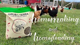 Homemaking Day in the Life | HOMESTEADING AND HOMEMAKING | #grubterra | Willow Hill Farm