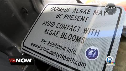 Algae warning signs posted in Martin County