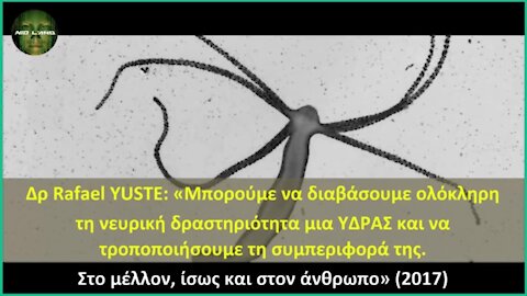 Δρ Rafael YUSTE - «Hydra Vulgaris - Μπορούμε να τροποποιήσουμε τη συμπεριφορά της» - Μετανθρωπισμός