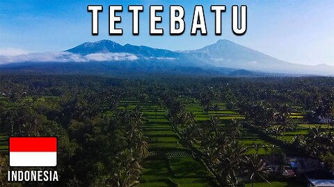 BETTER than UBUD? | Tetebatu | Lombok, Indonesia