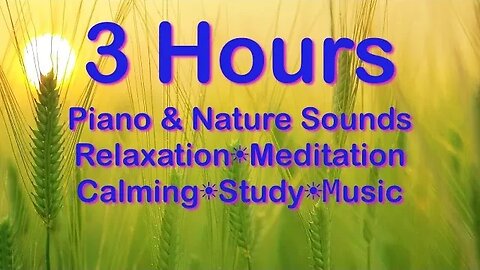 Piano Music & Nature Sounds ~ Relaxing Concentration ~ Trickling Water Sounds ~ Calming ~ Floating