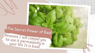 Discover the amazing health benefits of basil: reasons that will compel you to add it to your diet!