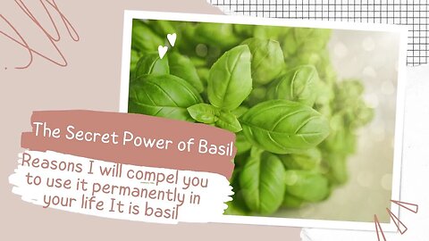 Discover the amazing health benefits of basil: reasons that will compel you to add it to your diet!