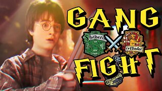 a Harry Potter Gang Fight 💖💚