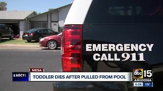 Toddler dies after being pulled from Mesa pool Saturday