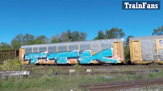 Manifest Train CN 5600, CN 2523 & CN 5726 Locomotives Eastbound Through Woodstock's Carew Diamond