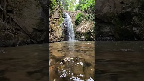Nature's Serenade: The Melody of a Peaceful Waterfall