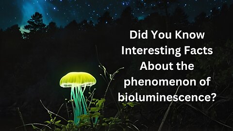 Did You Know Interesting Facts About the phenomenon of bioluminescence?