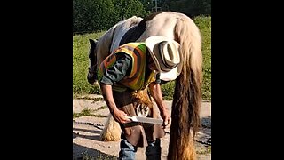 Trimming Nutmeg's hooves 18 May 2024