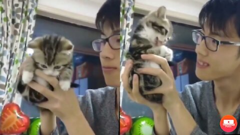 Super cute cat loving his owner and owner smile