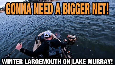 Massive Winter Largemouth Bass on Lake Murray!