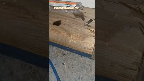 Ants in my shop pt 2 Terro liquid ant bait
