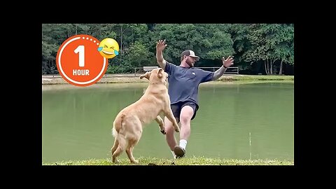 FUNNIEST Pets of 2024 😂 | BEST Compilation