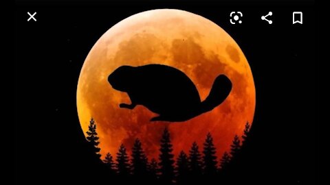 Loos Tales Nov 30, 2020 the full moon called Beaver Moon