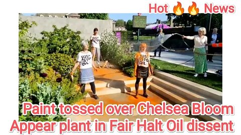 Paint tossed over Chelsea Bloom Appear cultivate in Fair Halt Oil dissent