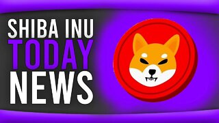 SHIBA INU NEWS