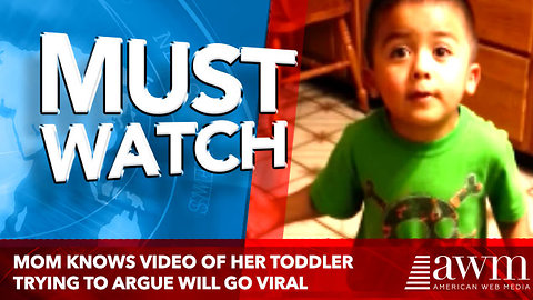 Mom Knows Video Of Her Toddler Trying To Argue Will Go Viral