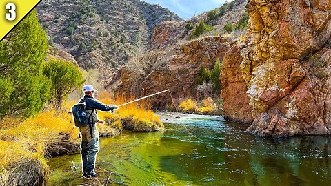 The Most Unique Trout Water I've Ever Fished!! (Desert Trout) || Fly Fishing Colorado Pt 3