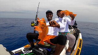 *Deep Sea* Fishing on a JET SKI (1000+ FT) Catch and Cook