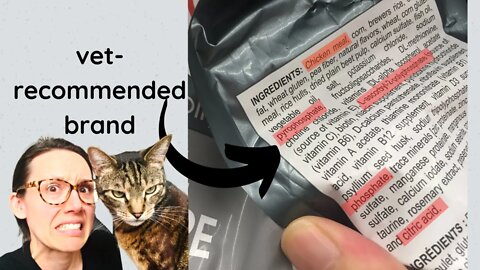 The ugly truth about cat food