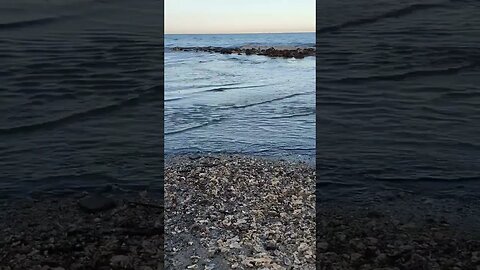 🏝️ Late Afternoon on Driftwood Beach 🏝️ 11 #shorts