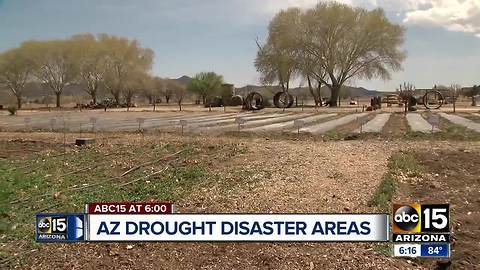 Parts of Arizona under emergency drought declarations