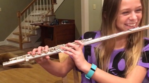 Dog Moans when a Girl Plays the Flute