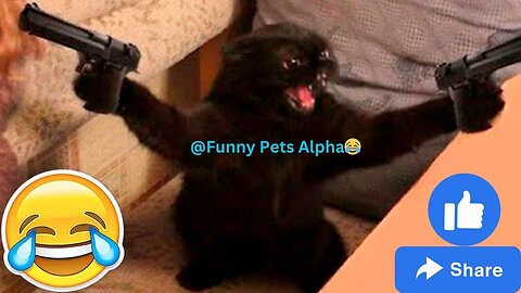 New Funny animal video😂😂😂/Funny cats and dogs compilations🤩