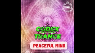 Terra V.- Peaceful Mind (Extended Mix)