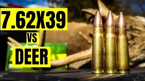 7.62x39 vs Deer