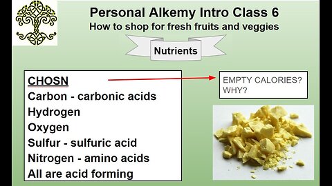 Personal Alkemy Intro to Health Class 6 of 10 Dec. 28 2023 - Part 2 Why Fresh Foods?