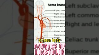 WHICH IS MORE DANGEROUS? SYSTOLIC OR DIASTOLIC BLOOD PRESSURE? #shorts