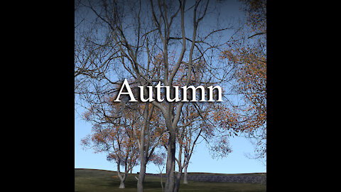 Autumn music & video