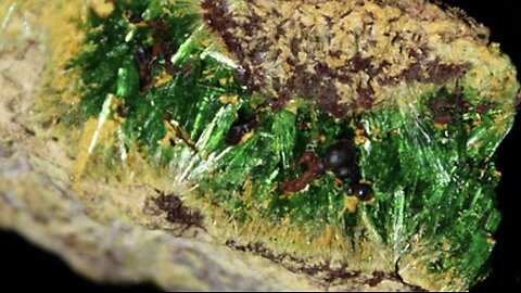 Cuprosklodowskite with Soddyite from Musonoi Mine, DR Congo (Uranium Minerals)