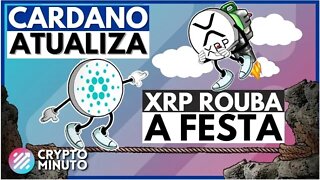 CARDANO VASIL CHEGOU - RIPPLE XRP RENDE 50% - HNT HELIUM - SOLANA - USDT - CRIPTO NOTÍCIAS HOJE