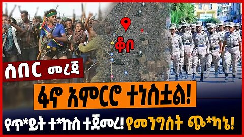 ፋኖ አምርሮ ተነስቷል❗️የጥ*ይት ተ*ኩስ ተጀመረ❗️የመንግስት ጭ*ካኔ❗️