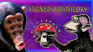 How Mushrooms Shaped Humanity – The Psychedelic Evolution of Consciousness