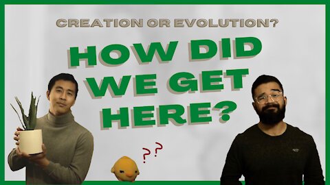 Creation v. Evolution: How did we get here?