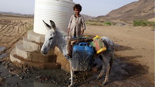 United Nations Warns Of Looming Famine In Yemen