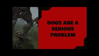 Elden Ring: Dogs Are A Serious Problem