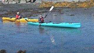Is there anything more Canadian than paddling? What to know before you go