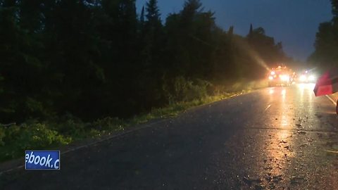 Trees and power lines down in Shawano County