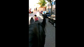 Walakin trough the streets with a horse