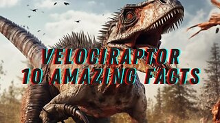 Velociraptor Top 10 Fascinating Facts Revealed! Dinosaur HD