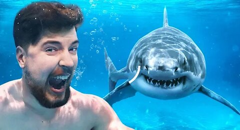 Would You Swim With Sharks For $100,000🤑