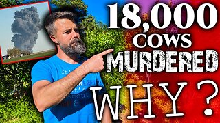 🐄18,000 Cows MURDERED!💀1 Week Later UPDATE!😢What Really HAPPENED?