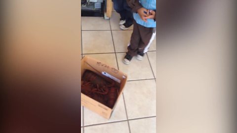 Dad Pulls Lobster Prank On Kids