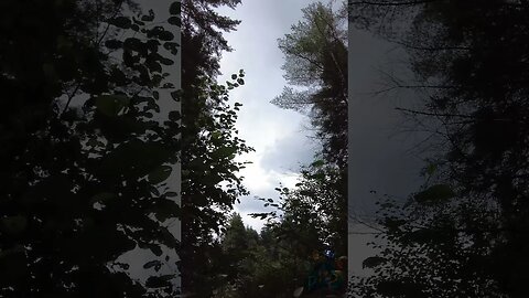 Storm cloud dreaming. #shorts #nature #storm #sky